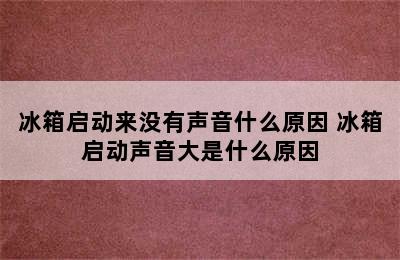 冰箱启动来没有声音什么原因 冰箱启动声音大是什么原因